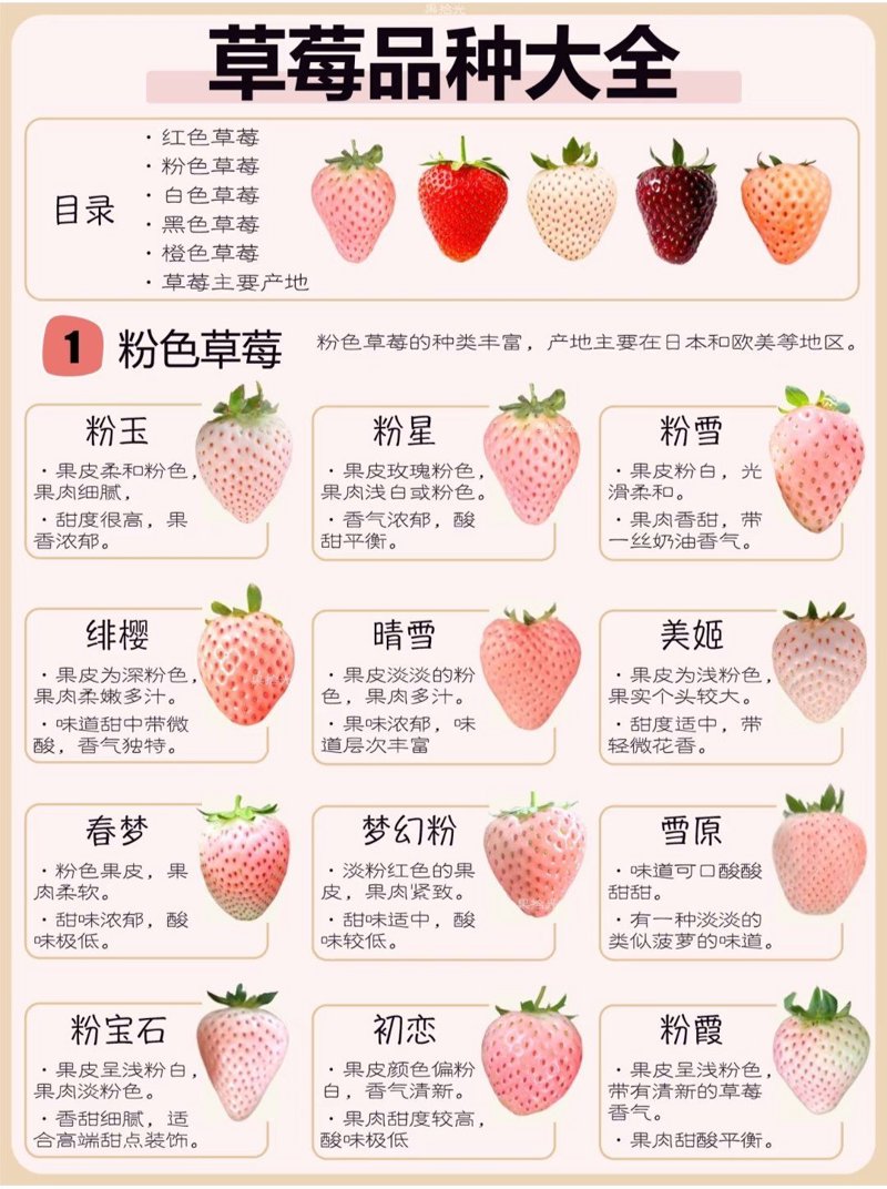 草莓品种知多少