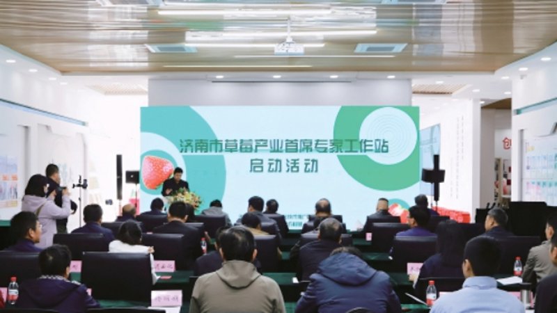 如何挑选优质济南草莓？